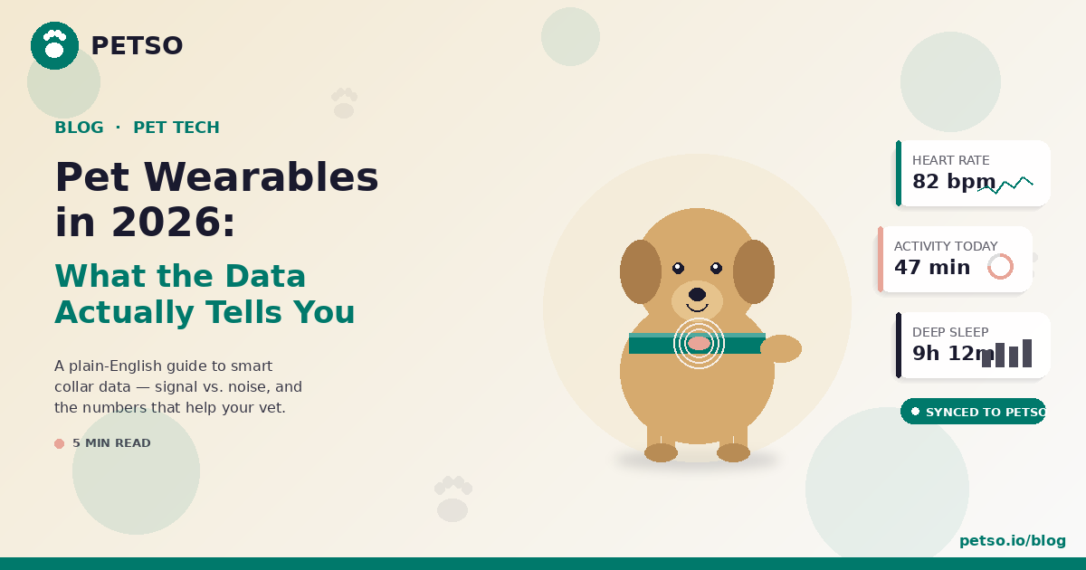 Pet Wearables in 2026: What the Data Actually Tells You