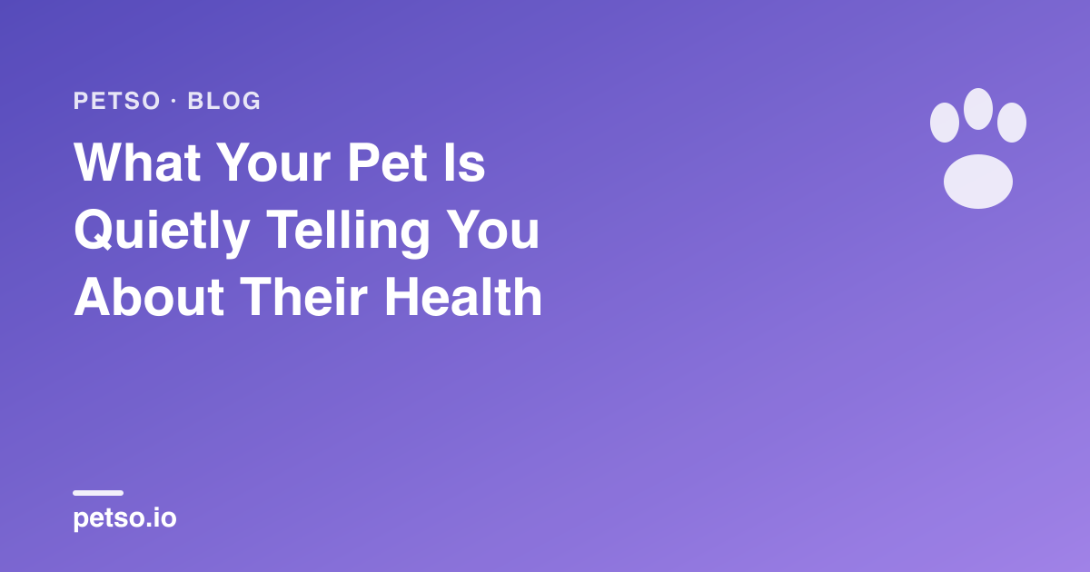 What Your Pet Is Quietly Telling You About Their Health