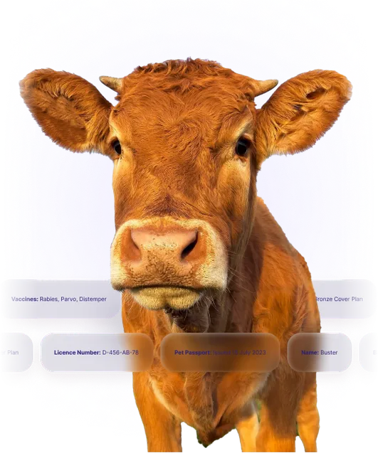 farmso