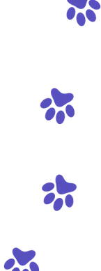 pet hands