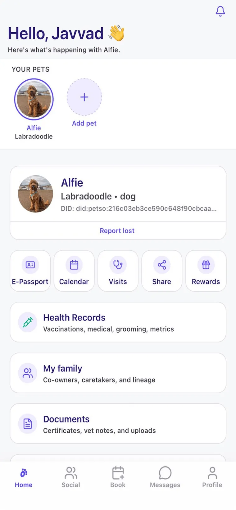 A rescue animal's profile in the Petso app