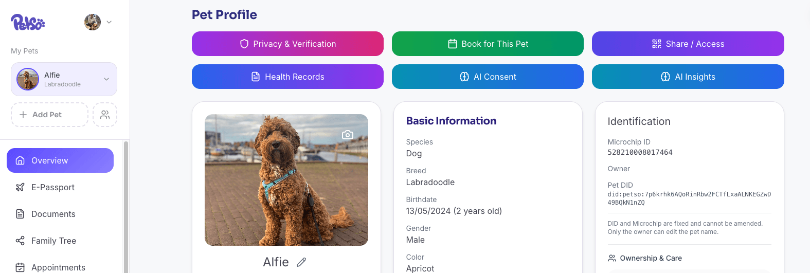 What to Put in Your Pet's Digital Health Profile (And Why It Matters)
