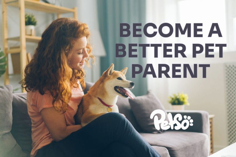 Unlock the Secrets of Pet Parenting