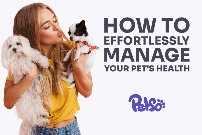 How to effortlessly manage your pet's health