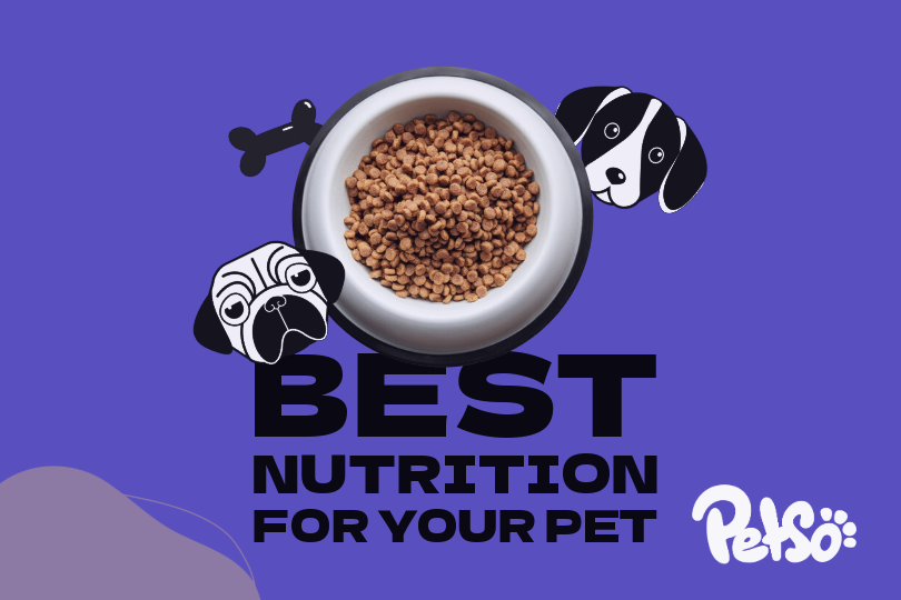Turning pet diet and nutrition into a breeze