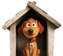 Animal Shelters